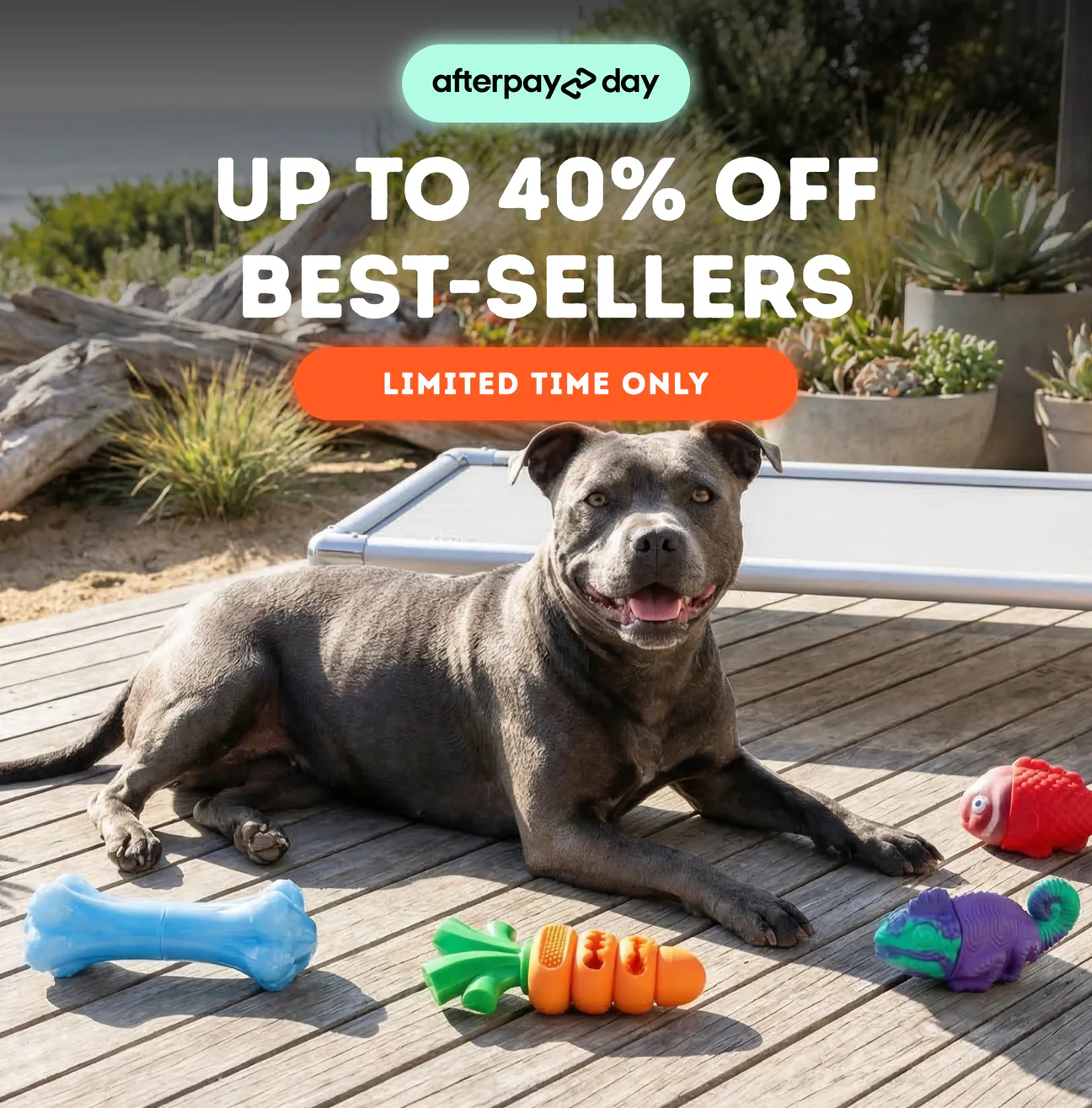 Welcome to Our Store