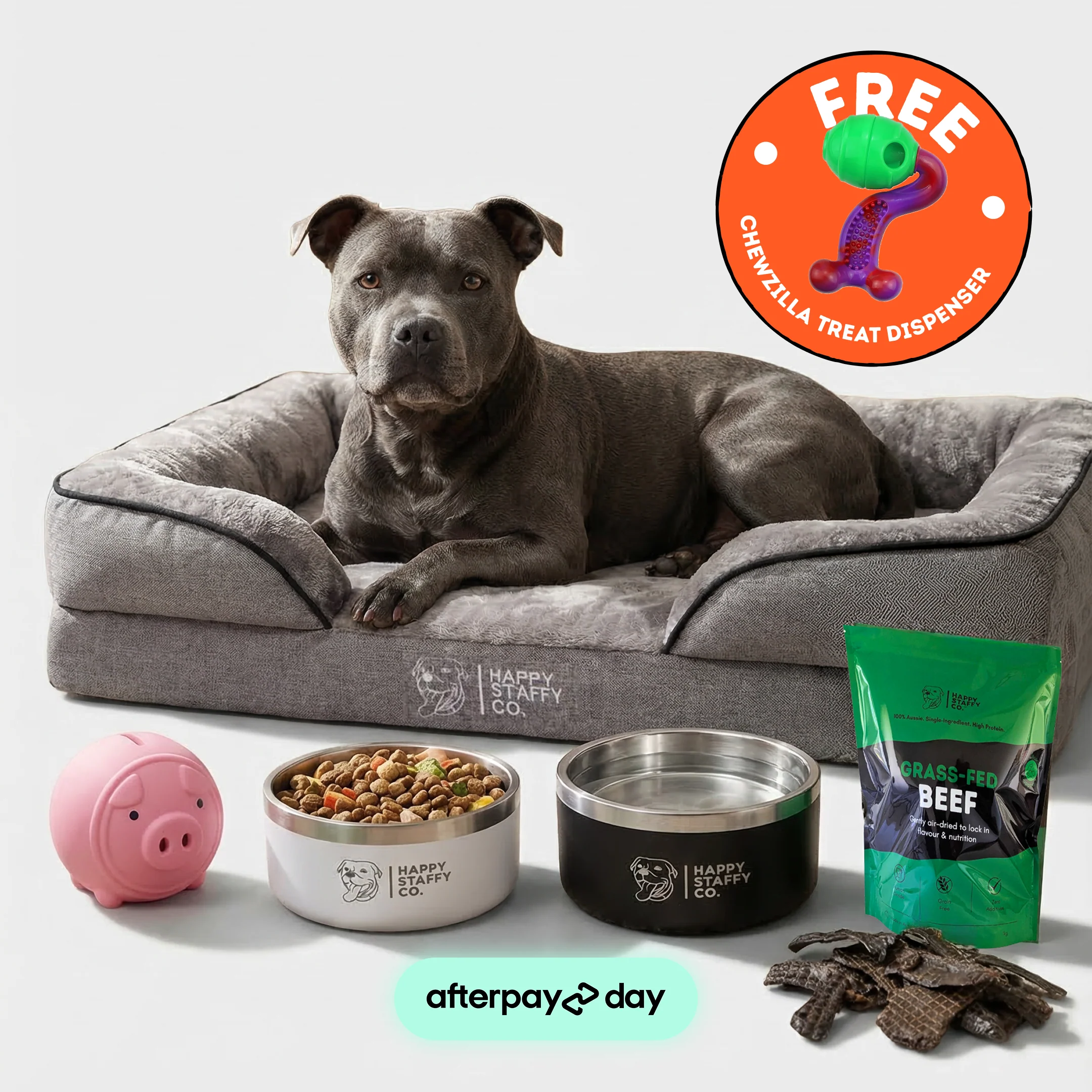 Early Access Black Friday Sale